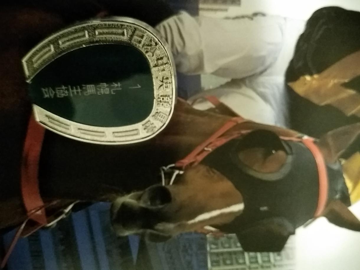 関係者情報で有馬記念で貴方を勝利を導きます 当たらなかった場合、代金返金致します