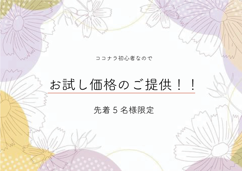 伝わるチラシ作成します わかりやすく、リーズナブルなチラシをお求めの方に！ イメージ1