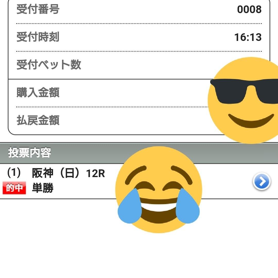 JRAの重賞予想提供します 競馬予想歴27年 新聞屋の予想とはまた違います