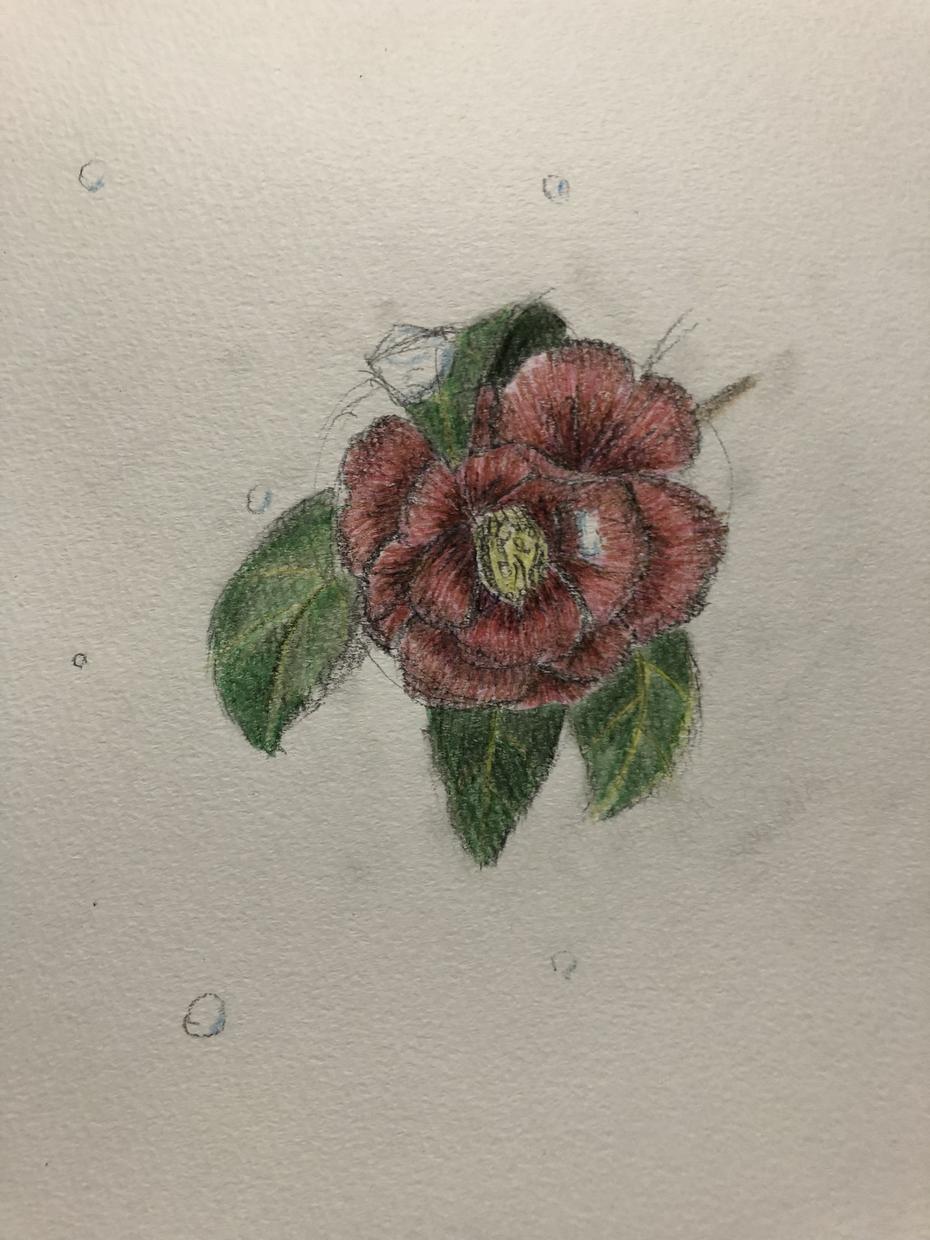 絵を描きます 色鉛筆や鉛筆、ペン、切り絵などの作品を作り上げていきます。