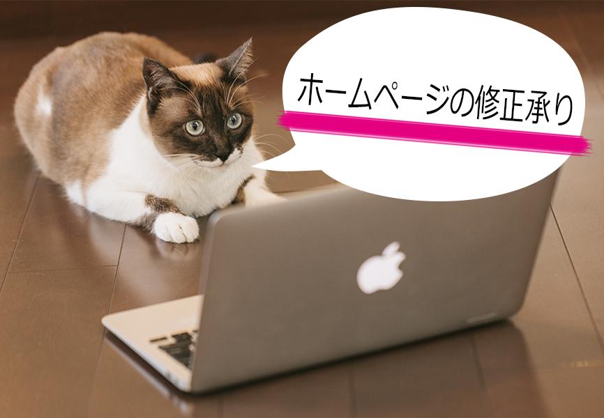 ホームページ制作・管理などでお困りの方へ、Webサイトの修正を1ヶ所承ります。