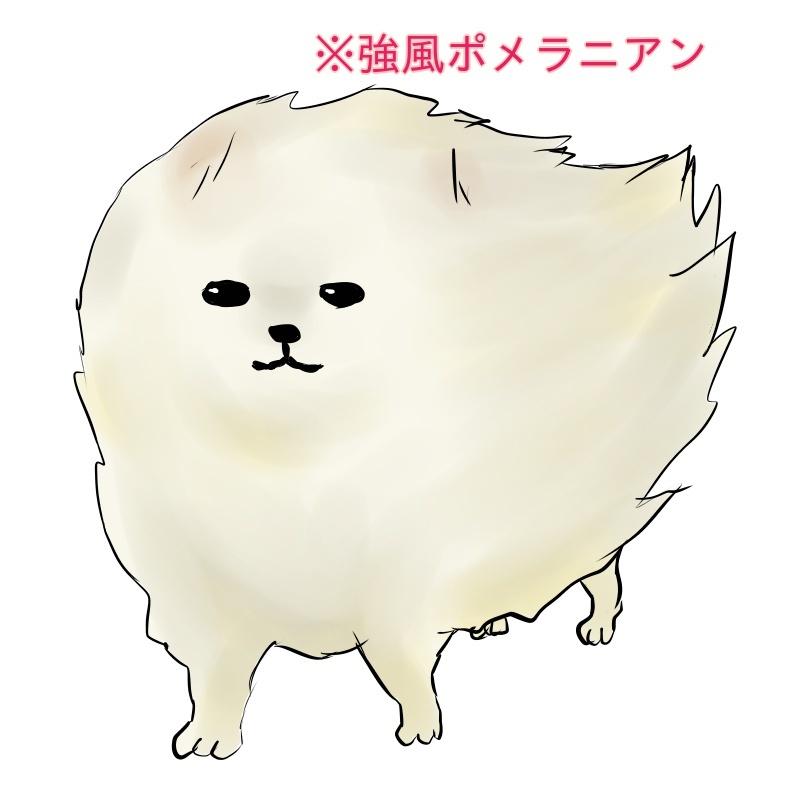 ポメラニアンのイラストお描きします Snsやブログなど幅広く使えるゆるふわポメラニアンです ペットイラスト作成 ココナラ