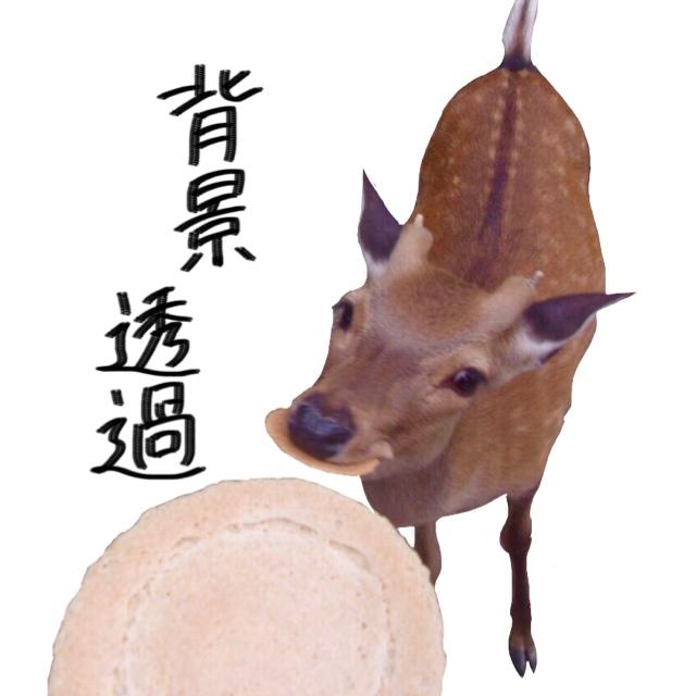 動物や食べ物どんなものでも取り除きます どんな画像でも、お任せ下さい!