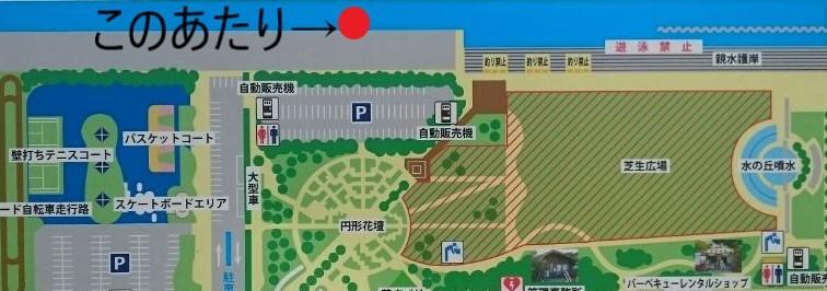 横須賀うみかぜ公園の海中動画(魚影あり)を売ります うみかぜ公園で釣りをしている人で海中の様子を見たいあなた