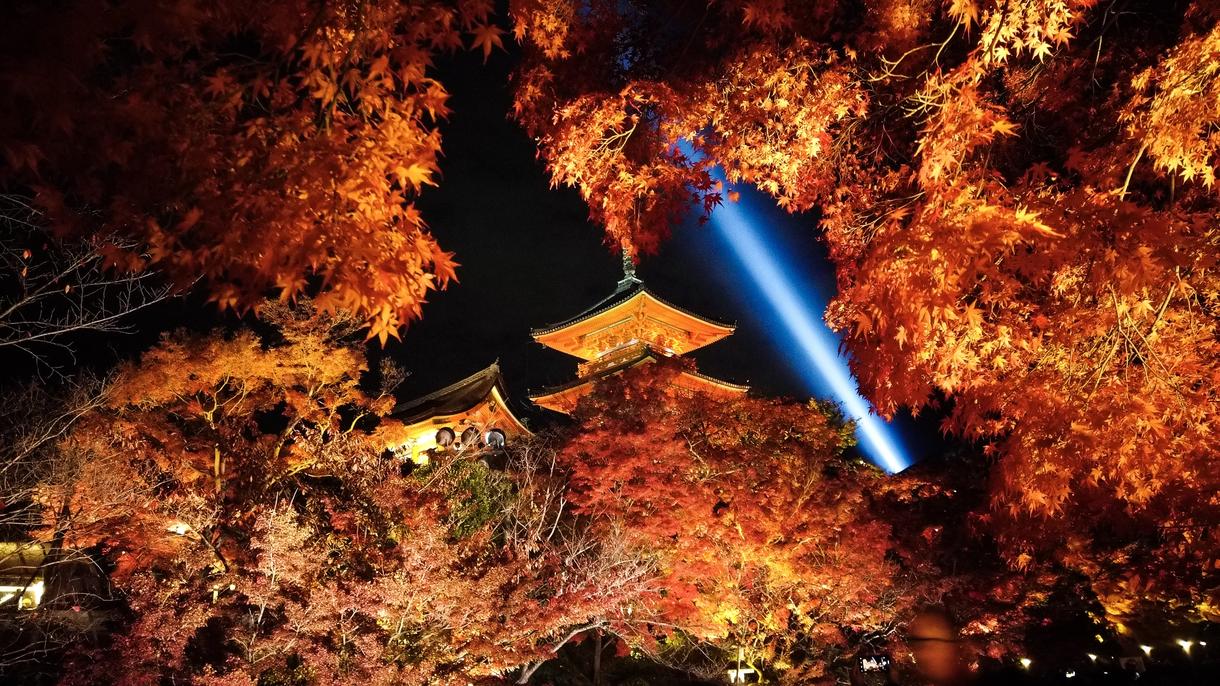 画像編集致します あなたの写真をさらに素晴らしく