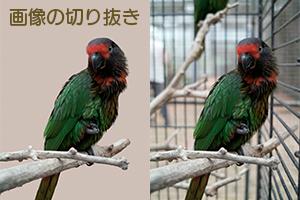 画像の切り抜きします 商品画像だけ欲しい!切り抜きたい!人物の切り抜き画像が必要!