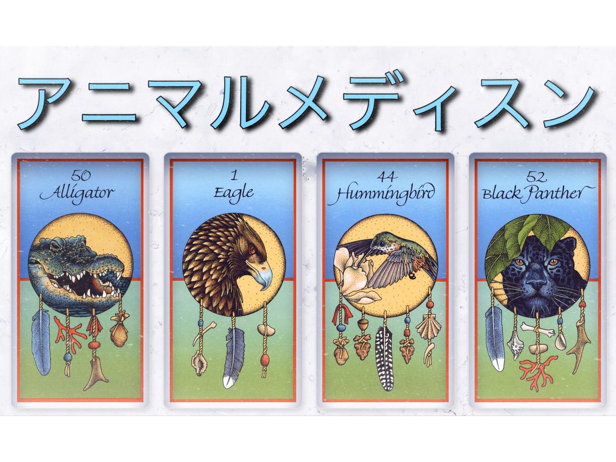 メディスンカード 改訂増補版 日本語 （メディスン・カード 動物