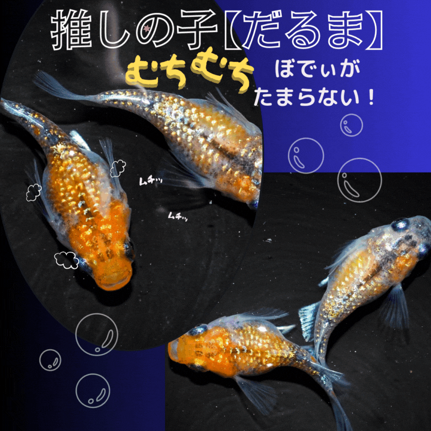 まずはURLを見てBASEのECサイトを作成します オリジナル商品を販売したい方向け！自分だけのECサイトを保有 イメージ2