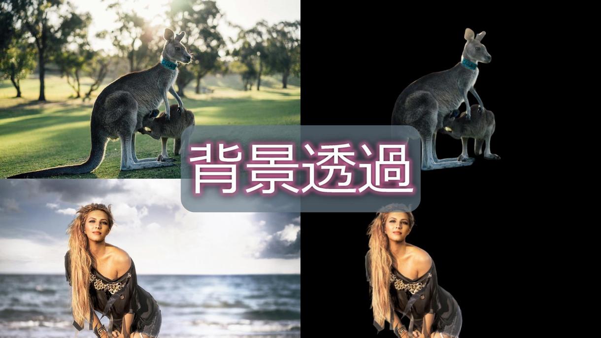 背景透過などの画像加工します 面倒な作業を外注して作業効率向上