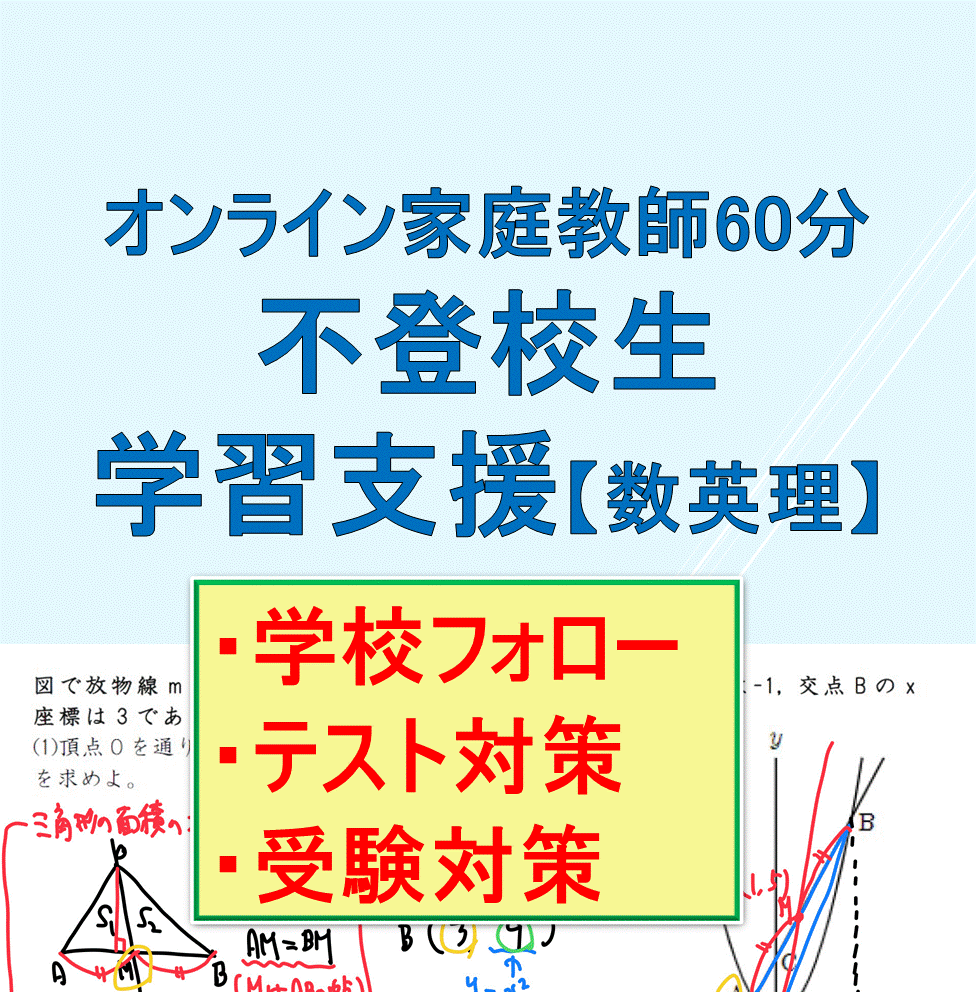 不登校の方の学習支援＆メンタルサポートを行います 「心の健康」重視！お子様のペースに寄り添った指導（数英理） イメージ1