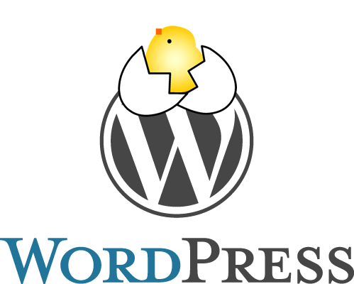 WordPressサイトの立ち上げを代行いたします。今ならなんとワンコイン500円で!
