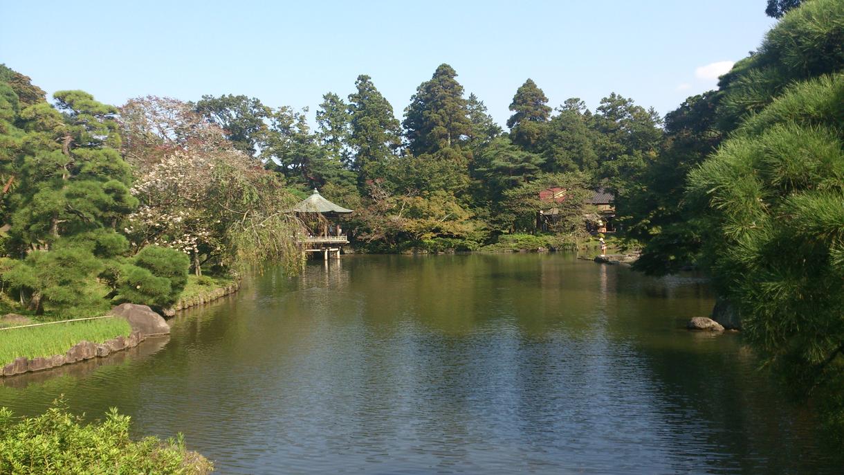 写真撮影/東京都周辺/1,000円から対応します クライアントの代わりに現地へ行き、撮影をして画像を送ります。