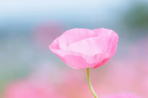 あなたが好きな人と付き合えられるように協力します！ イメージ1