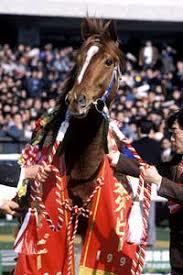 ダービー限定サイン読みから2つの連対馬番教えます ダービー馬は他のサインからダノンキングリーで!