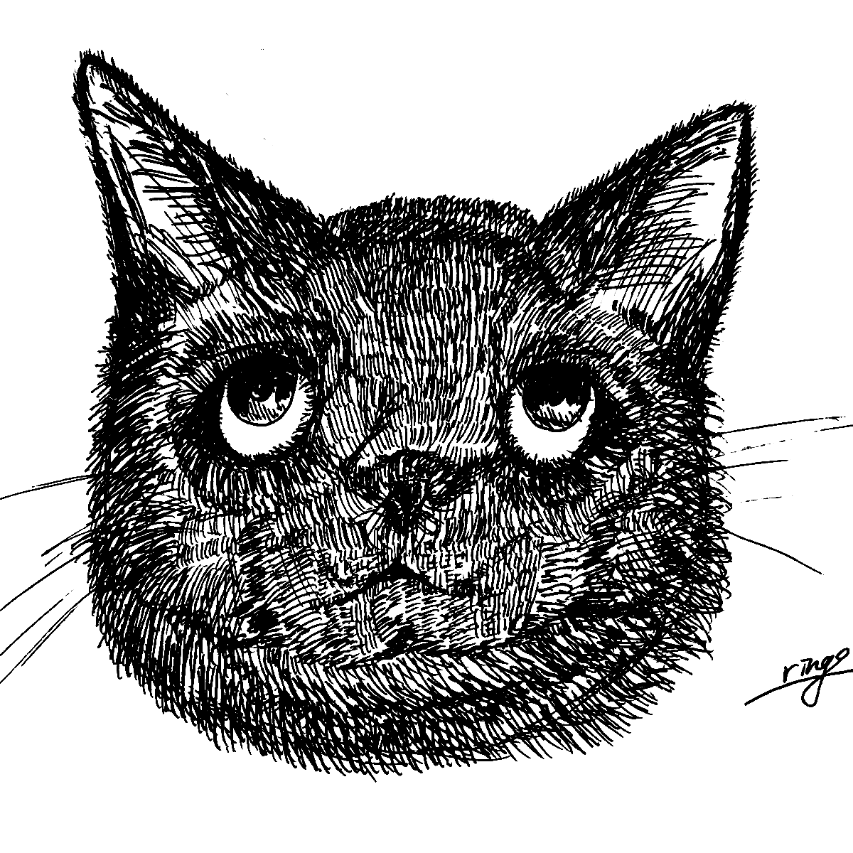 ペン画sns用アイコンやヘッダー描きます 病み可愛いがお好きな方へまた アイコンをお探しの方へ その他 イラスト 漫画 ココナラ