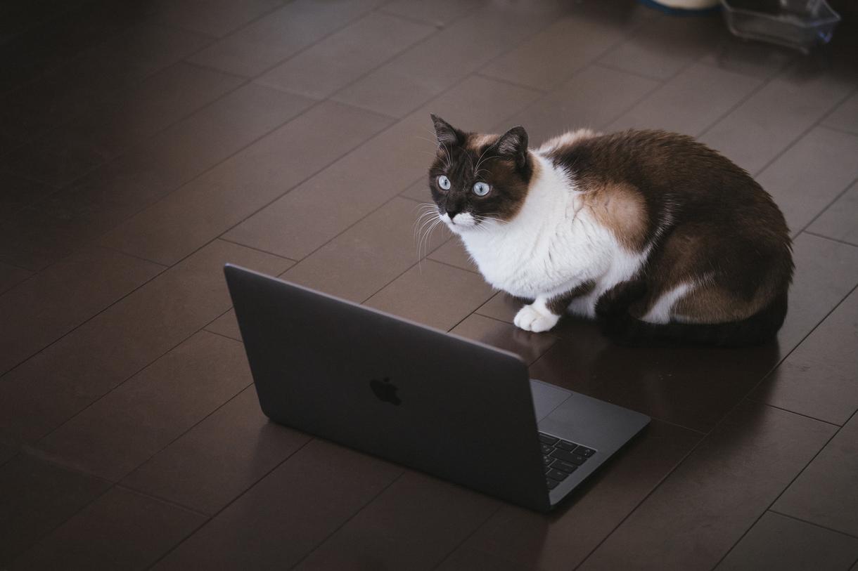 スキルアップのため、格安でHPを作成します スキルアップとはいえ、決して手を抜かず、全力で取り組みます!