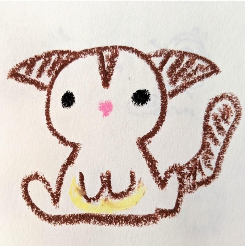 カラー✽シンプルなイラストを描きます 日々の生活に疲れている方へ、癒しのイラスト
