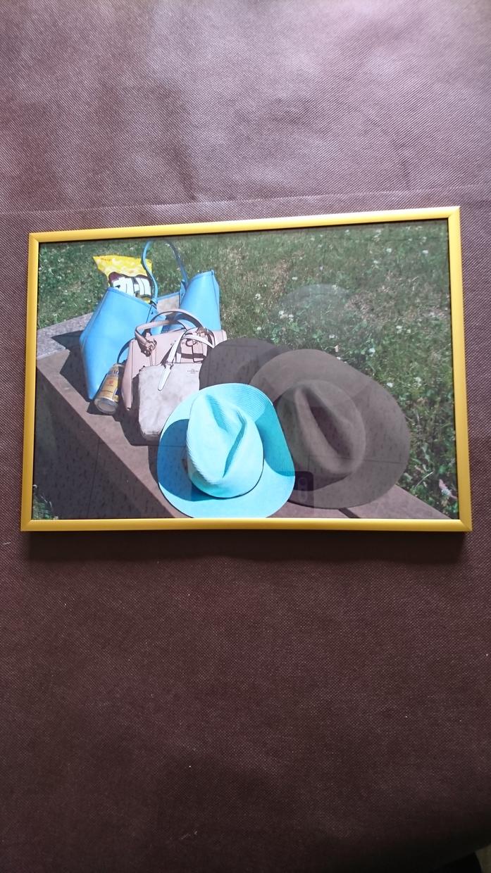 カールと一緒にNo.1の写真作品提供します カールと一緒にNo.1の写真作品をお部屋に飾りませんか‼️