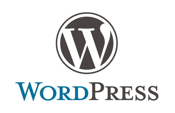 WordPressインストール&初期設定代行します WordPress設定作業が面倒 or わからないあなたに!