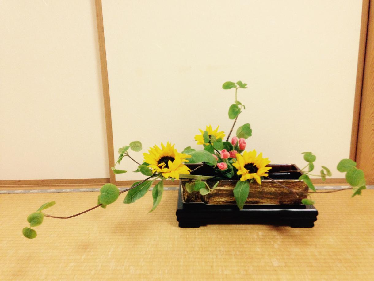初心者の方✳︎生け花の事教えます!また季節のお花もお気軽にお問い合わせください。