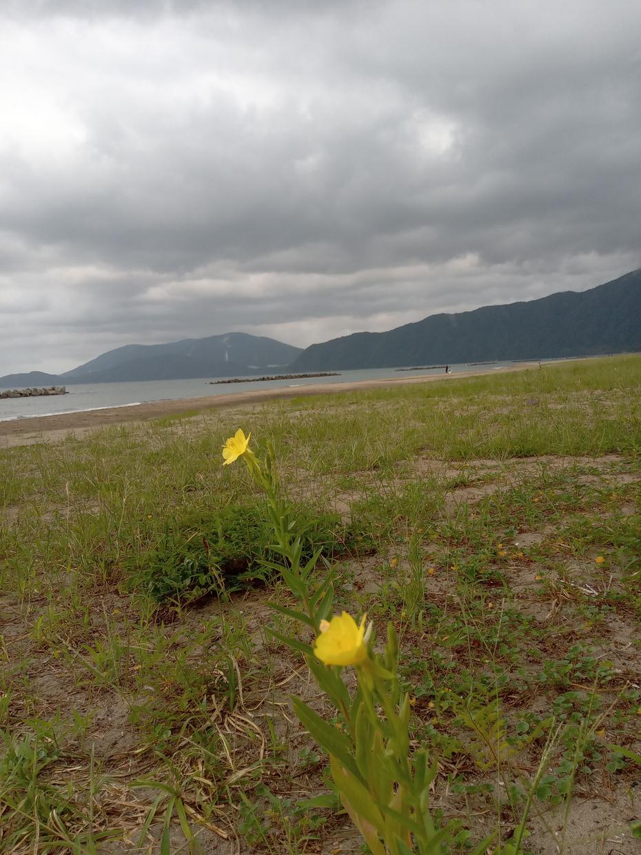 学校へ行けない、行きたくないあなたのお話聞きます 学校が始まりましたね。自分の気持ちを一番に大切にして下さいね 話し相手・愚痴聞き ココナラ