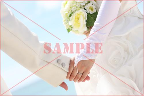 数量限定☆ブライダル写真譲ります!