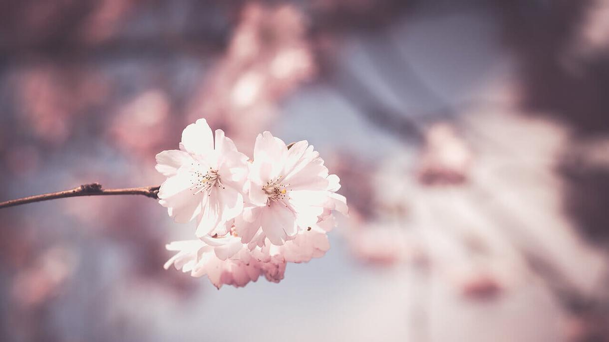 結婚式フォトスライドや思い出を記憶でなく記録します 結婚式フォトスライドを主にその他の思い出や記念日などを動画化