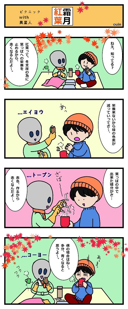 特定の方へのサービスとなります ーーー次回の12月分となります。ーーー