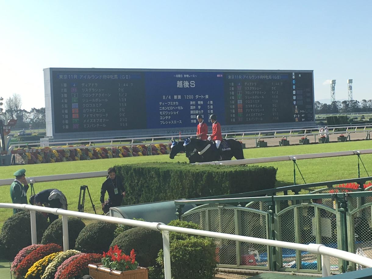 馬券予想します お小遣い稼ぎに協力させてください!!