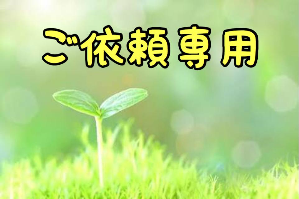 ご依頼用漫画作成いたします こちらはご依頼用です。ご理解のほど宜しくお願いします。