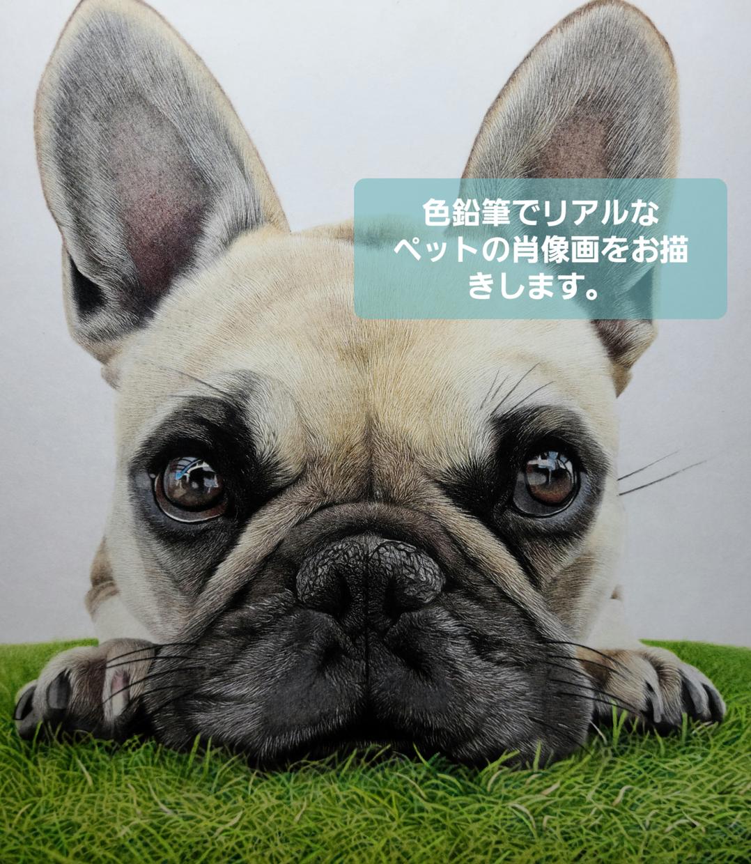 色鉛筆で リアルなペットの絵をお描きします 大切なペットを絵にして ご自宅にプレゼントにいかがですか ペットイラスト作成 ココナラ