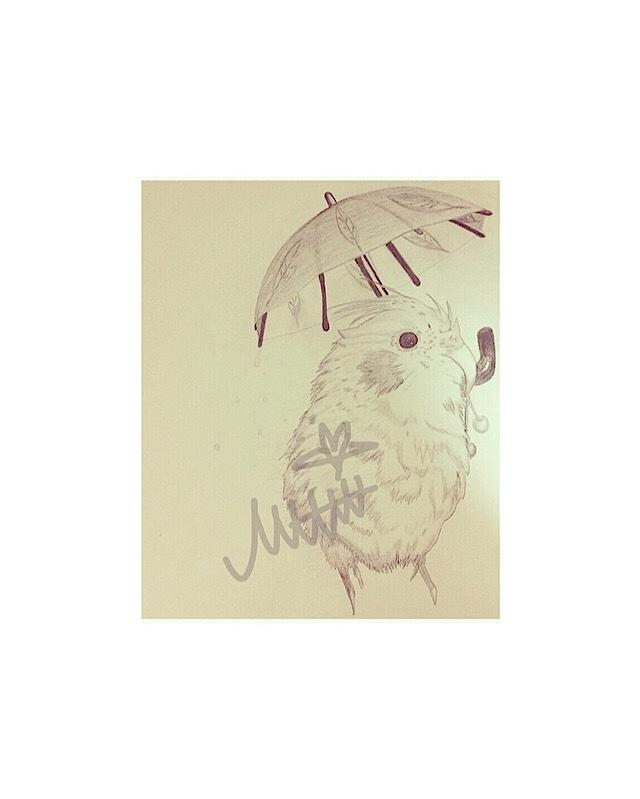 手描きの癒し系動物お描きします お写真や資料を元に癒し系動物のイラストお描きします