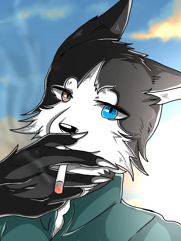 獣人のイラスト描きます オリキャラや版権キャラも描きます。