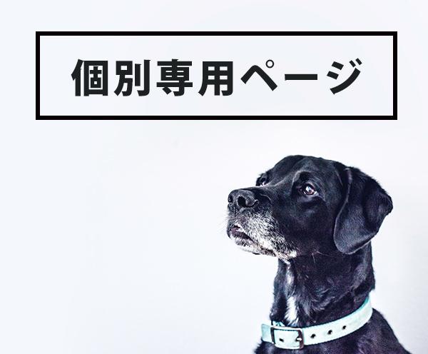 個別専用ページになります ご指定された方はこちらよりご利用下さいませ。