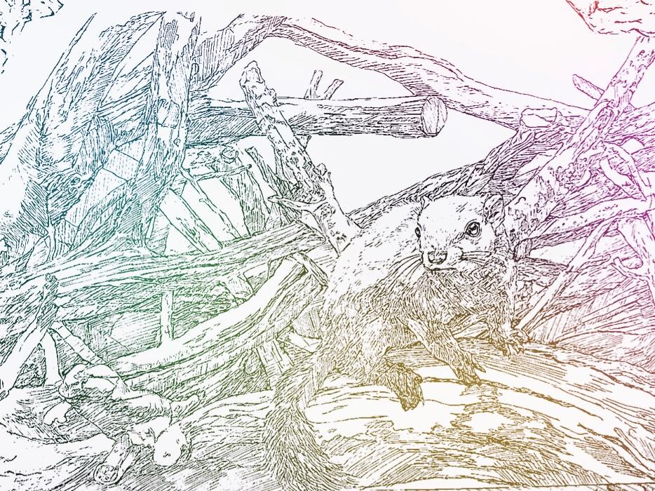 イラスト制作からデジタルでのデザイン制作を行います イラストからデザインまで幅広く承ります!