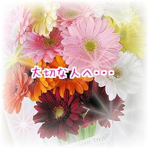 写真文字入れぼかし枠、キラキラスタンプ加工します。