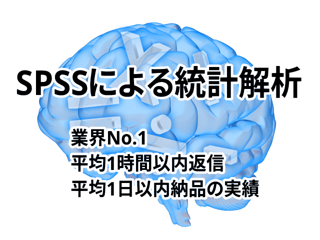 SPSSで統計解析のお手伝いします 医療者・研究初心者看護研究など統計解析にお困りの方にお勧め イメージ3