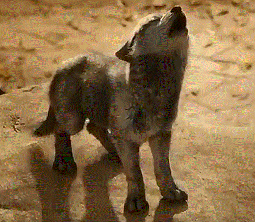 悩み苦しみこんな状態から変化したい意見が欲しいます 悩みや苦しみは独りでは脱出できない イメージ1
