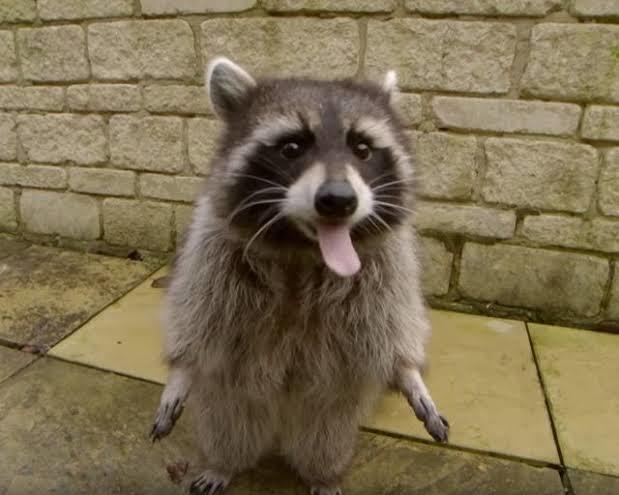 MCUの面白ろさをお伝えします MCUといわれるアメコミヒーローの実写映画の面白さを伝えます