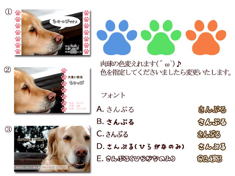 ワンちゃんの名刺作ります 自分で撮ったわんちゃんの写真で名刺を作ってみませんか?