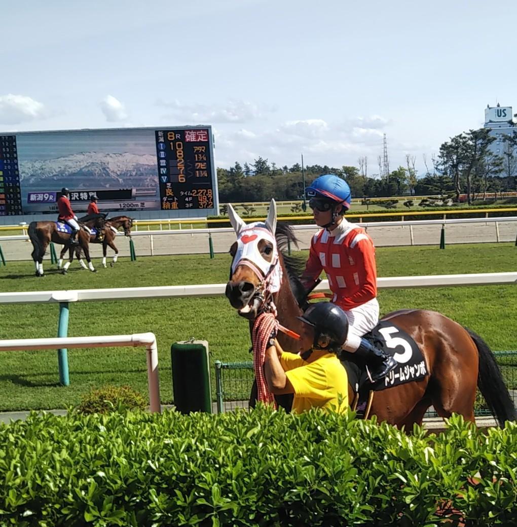 暗号予想による競馬の予想をしています!かます 暗号予想での大穴馬券を!ワイド馬券・馬連馬券の大穴を狙います