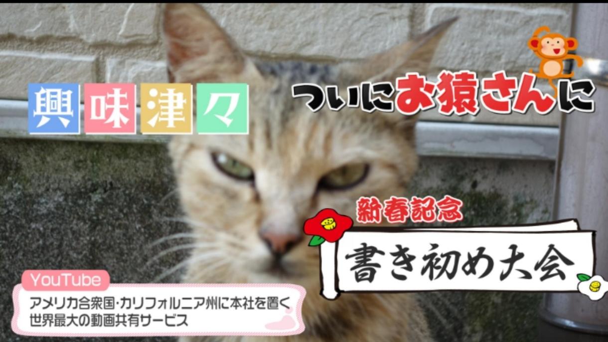 YouTube・TV番組・広告!テロップ作成します 地上波番組、YouTube動画制作経験有!