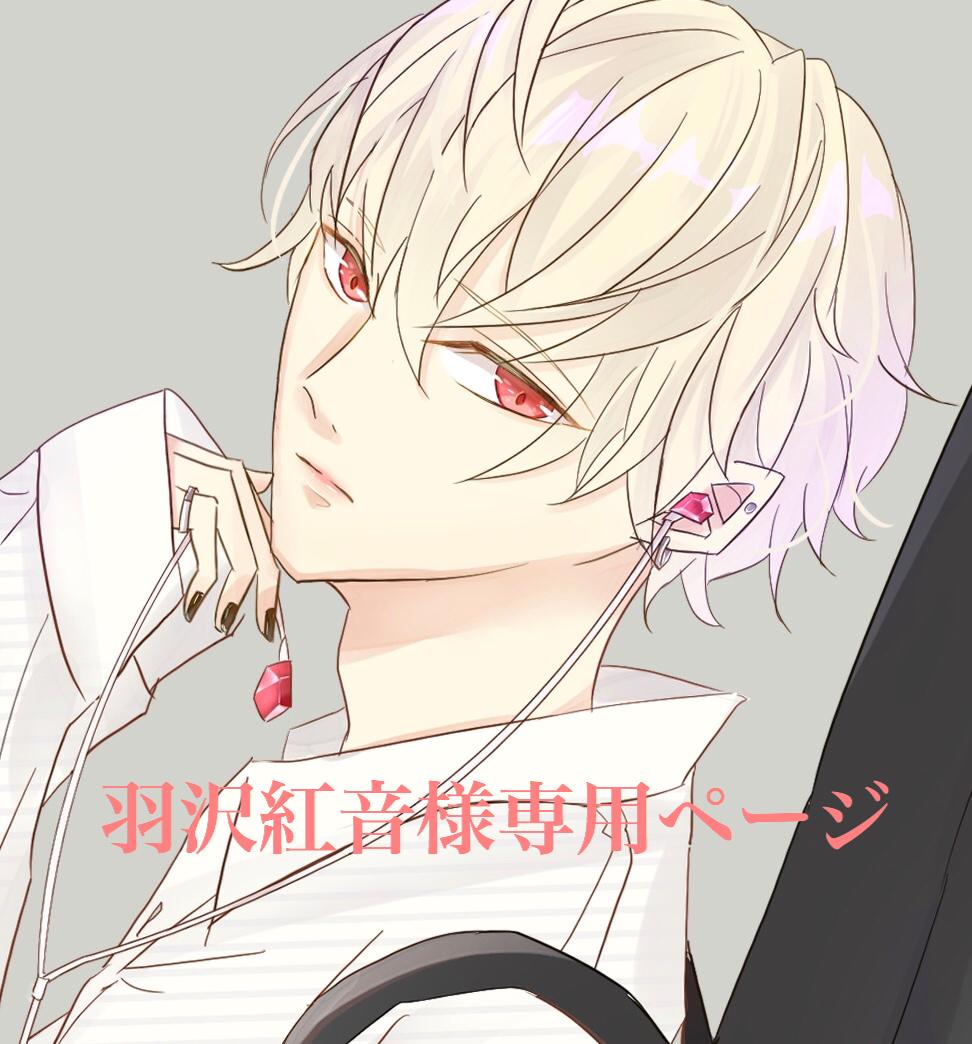 こちらは羽沢紅音様専用ページとなります オーダー主様以外はご購入ご遠慮くださいませ