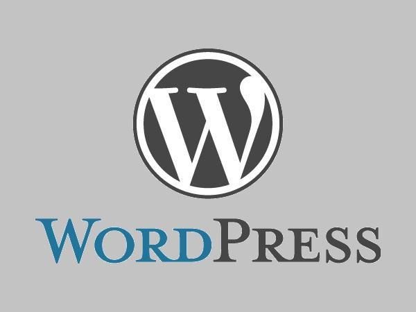 【ランキング入り!】WordPress(ワードプレス)設置代行/シルバーパッケージ