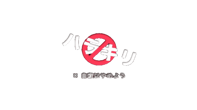 MVや結婚式などの動画(ほか相談次第)できます アーティストのMV、結婚式動画編集経験あり最短3日〜 イメージ2