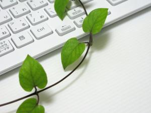 小規模なホームページの修正・変更をお手伝い致します。HTML・CSS・WordPress