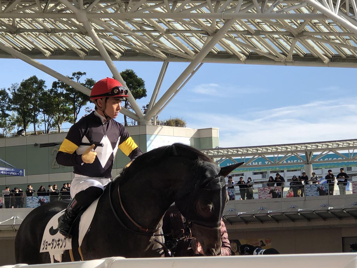 中央競馬の予想をお届けします 競馬!血統、展開予想を駆使して信頼度の高い軸馬をお届け!