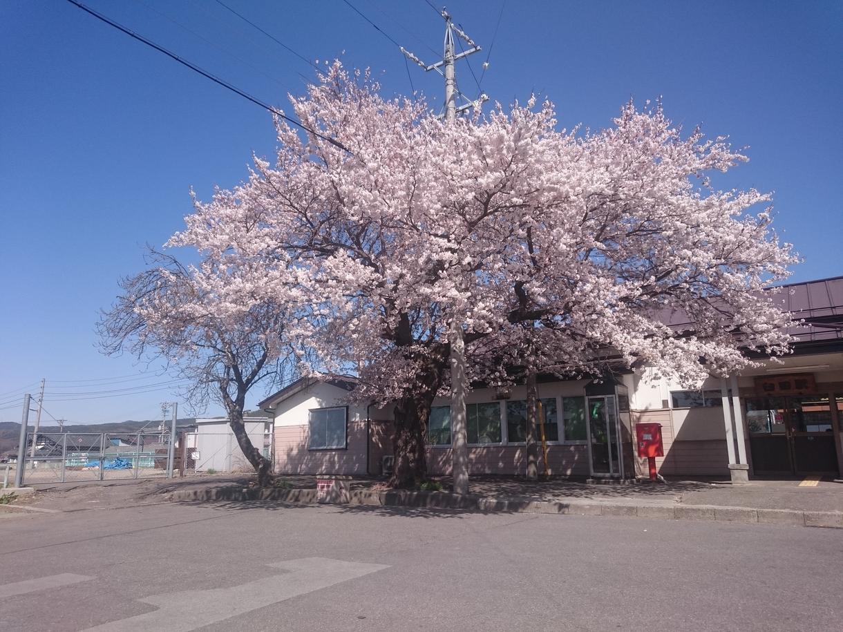 その日に見た景色をそのまま、撮影し、商品化します!