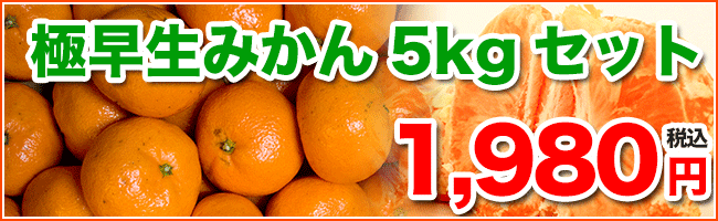既存のバナーをGIFアニメでキラキラ＆パカパカさせます。 イメージ3