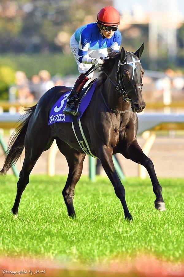 小倉競馬場の攻略方法お教えします 競馬場によって走る馬は違う!その特徴を伝授します!